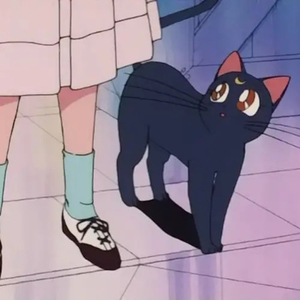 车上没空了你坐小杰身上说说
